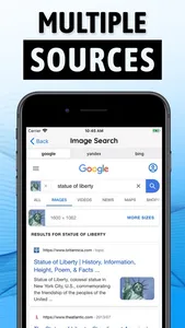 Image Search App screenshot 1