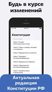 Конституция screenshot 0