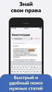 Конституция screenshot 2