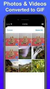 Gif Maker: Photo to GIF screenshot 1