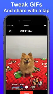 Gif Maker: Photo to GIF screenshot 2