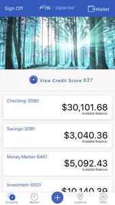 FIS Digital One Consumer screenshot 8