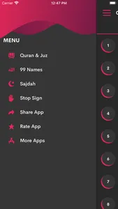 Al Quran in Urdu screenshot 3