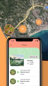 Butterfly Migration screenshot 1