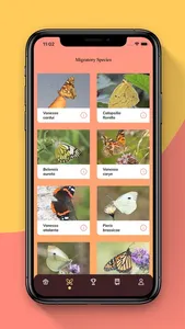 Butterfly Migration screenshot 2