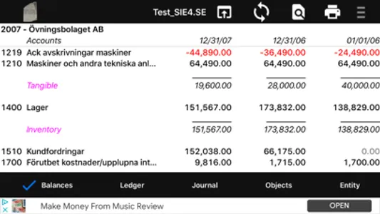 Rosetta SIE-XBRL/GL Viewer screenshot 1