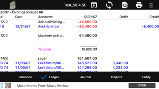 Rosetta SIE-XBRL/GL Viewer screenshot 2