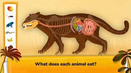 How do Animals Work? screenshot 4