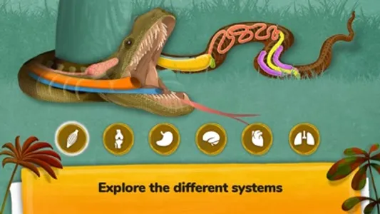 How do Animals Work? screenshot 7