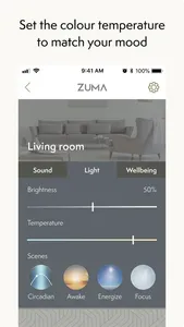 Zuma screenshot 3