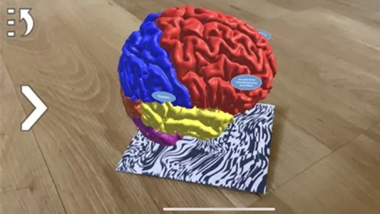 Alzheimer AR screenshot 0