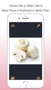 Mushroom Identifier screenshot 0