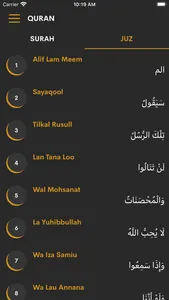 Quran with Hindi translation screenshot 3