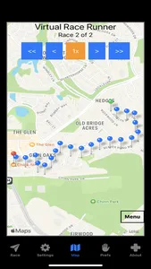 Virtual Race Runner screenshot 7
