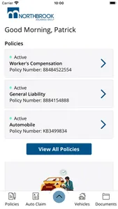 Northbrook Insurance Group screenshot 1