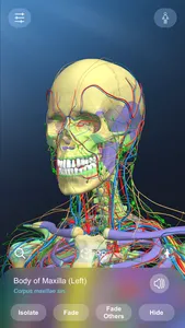 AR Anatomy screenshot 1