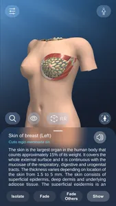 AR Anatomy screenshot 2