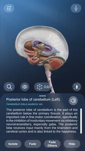 AR Anatomy screenshot 3