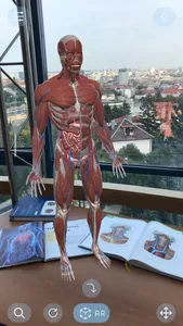 AR Anatomy screenshot 5