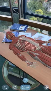 AR Anatomy screenshot 6