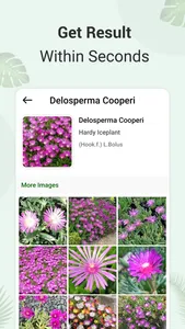 Plant Identifier and info screenshot 4