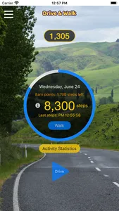 Drive & Walk screenshot 0