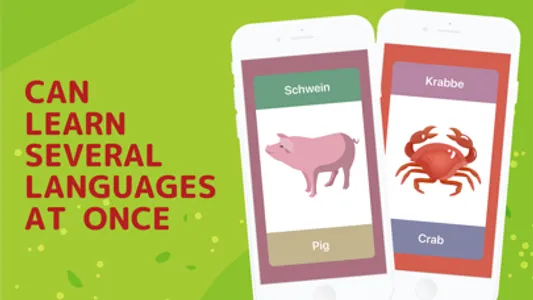 Doman Flashcards – Educational screenshot 3