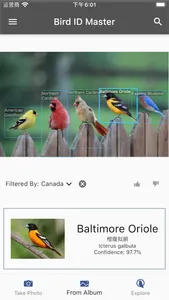 Bird ID Master screenshot 5