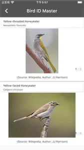 Bird ID Master screenshot 7