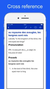 French Idiom Dictionary screenshot 2