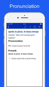 French Idiom Dictionary screenshot 4