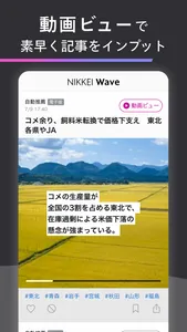 Nikkei Wave screenshot 4