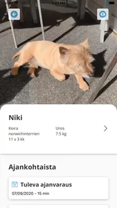 Marsu & Pupu screenshot 1