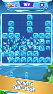 Ice Block Puzzle Game screenshot 3