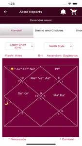Kundali Expert screenshot 6