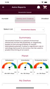 Kundali Expert screenshot 8