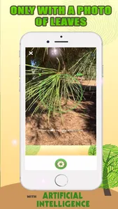 Tree Identification with AI screenshot 1