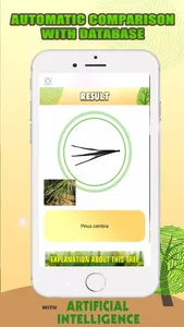 Tree Identification with AI screenshot 2