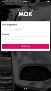 MOK Autoinspección screenshot 0