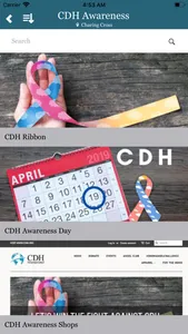 CDH International screenshot 4