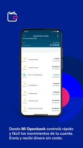 Openbank Argentina screenshot 2