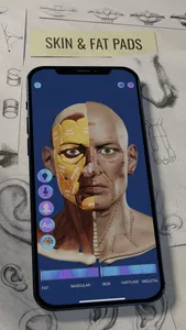 Ecorche: Portrait Anatomy screenshot 0