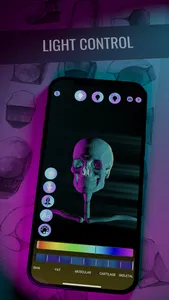 Ecorche: Portrait Anatomy screenshot 4