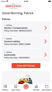 Bridgeway Insurance Online screenshot 1