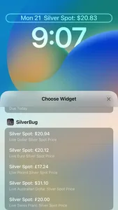 SilverBug screenshot 3