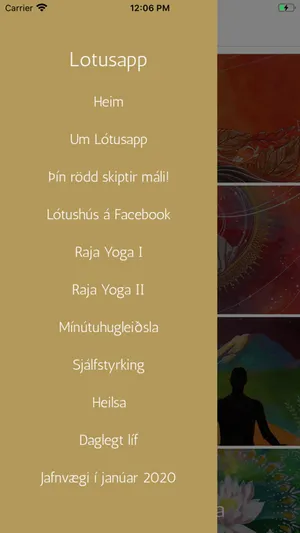 Lótusapp screenshot 1