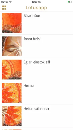 Lótusapp screenshot 3