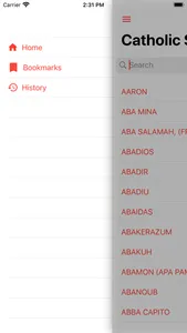 Catholic Saints List Offline screenshot 3