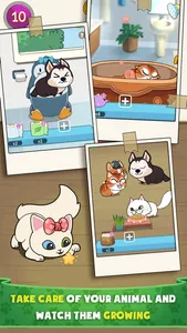 Pet House 2 - Cat and Dog screenshot 3