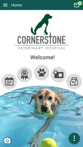 Cornerstone Vet Hospital LA screenshot 0